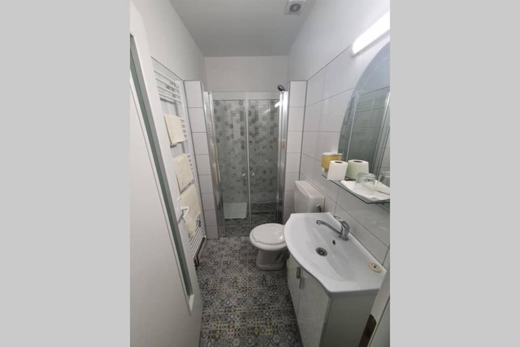 Апартаменты Casa Frizerului - Pets Allowed For Free & Moto Friendly Себеш Экстерьер фото