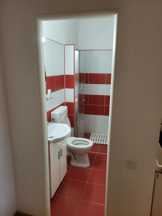 Апартаменты Casa Frizerului - Pets Allowed For Free & Moto Friendly Себеш Экстерьер фото